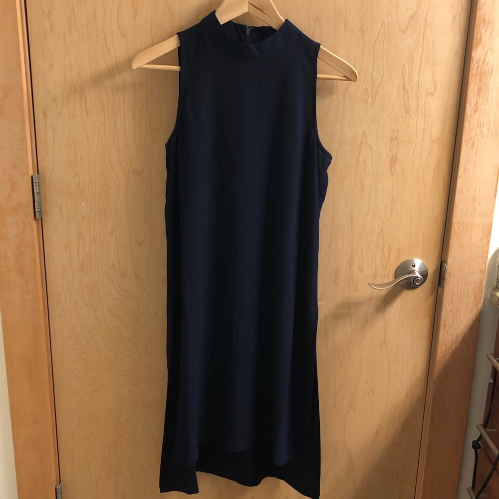 Cupio Sheer LONG (hits just above the knee) tank